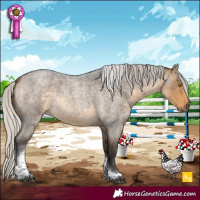 Horse Color:Silver Buckskin Roan Tobiano