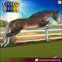 Horse Color:White Spotted Silver Brown Tobiano 