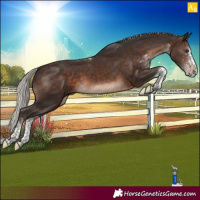Horse Color:White Spotted Silver Brown Tobiano