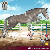 Horse Color:White Spotted Silver Black Mushroom Tobiano 