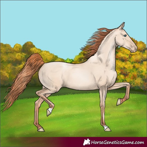 Horse Color:Sable Champagne Pearl Dun