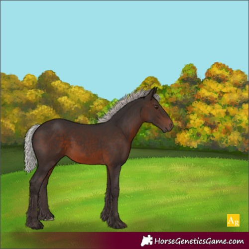 Horse Color:Silver Brown Mushroom 