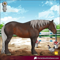 Horse Color:Silver Brown Mushroom 