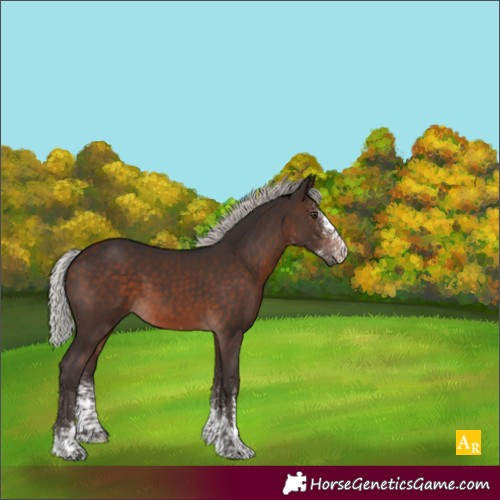 Horse Color:White Spotted Silver Brown Mushroom 