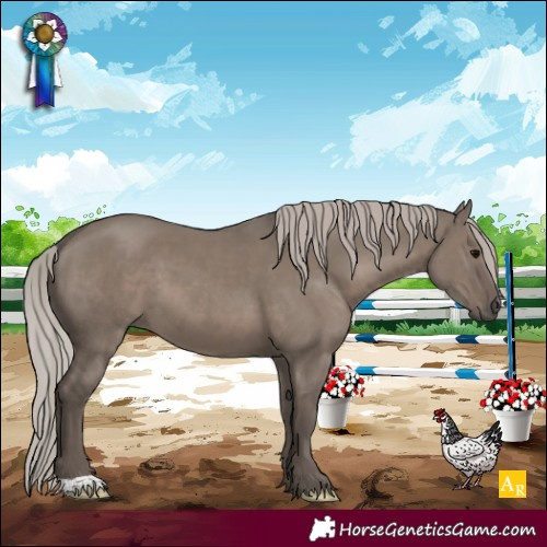 Horse Color:Silver Grullo 