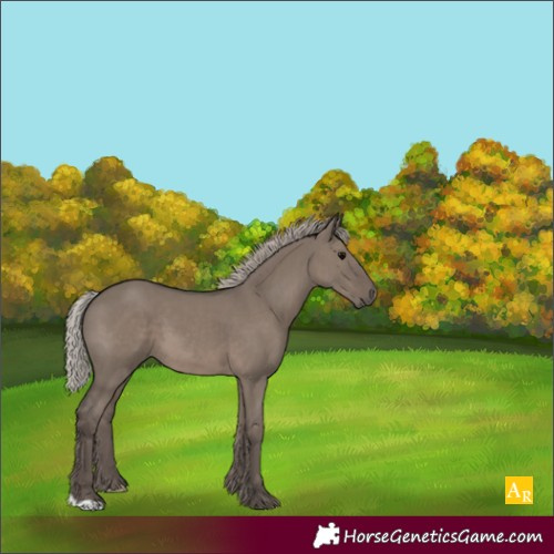 Horse Color:Silver Grullo 
