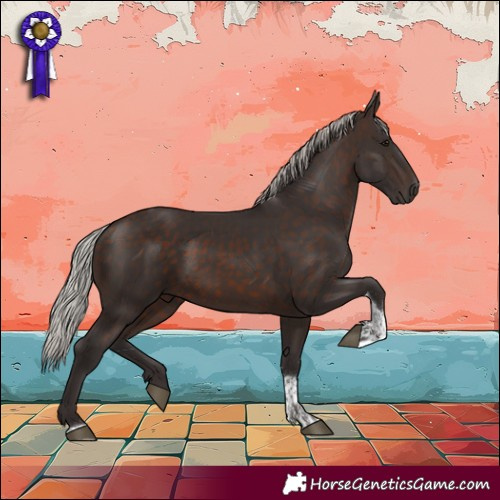 Horse Color:Silver Brown Tobiano