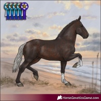 Horse Color:Silver Brown Tobiano 