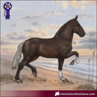 Horse Color:Silver Brown Tobiano
