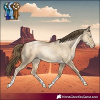 Horse Color:Buckskin Pearl Dun Tobiano