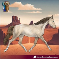 Horse Color:Buckskin Pearl Dun Tobiano 