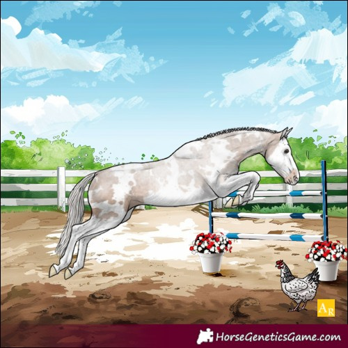 Horse Color:White Spotted Silver Brown Dun Splash Rabicano 
