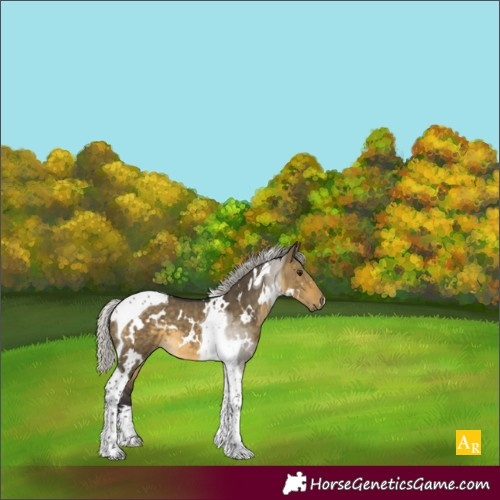 Horse Color:White Spotted Silver Buckskin Dun Tobiano 