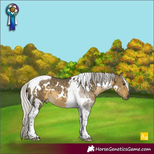 Horse Color:White Spotted Silver Buckskin Dun Tobiano 