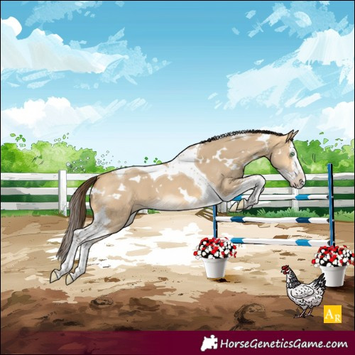 Horse Color:White Spotted Amber Cream Champagne Dun Splash Tobiano 