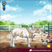 Horse Color:White Spotted Silver Buckskin Dun Splash Tobiano Rabicano 