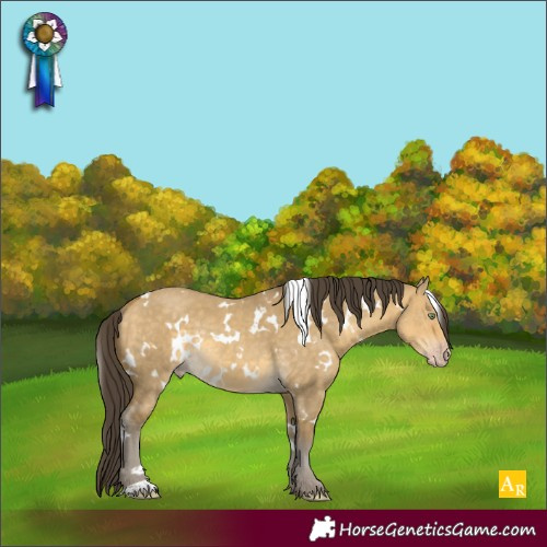 Horse Color:White Spotted Sable Cream Champagne Dun Rabicano 