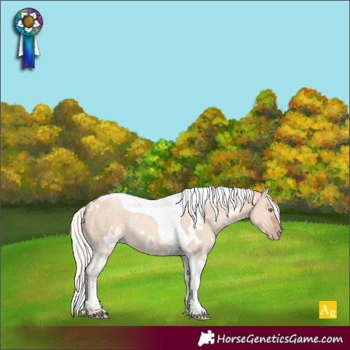 Horse Color:White Spotted Silver Amber Champagne Dun Tobiano Rabicano