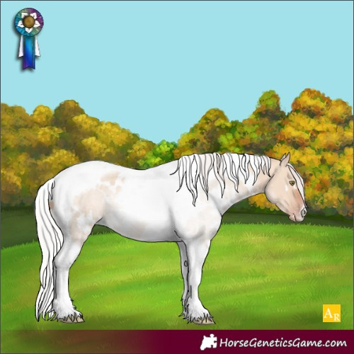 Horse Color:White Spotted Silver Amber Champagne Dun Tobiano