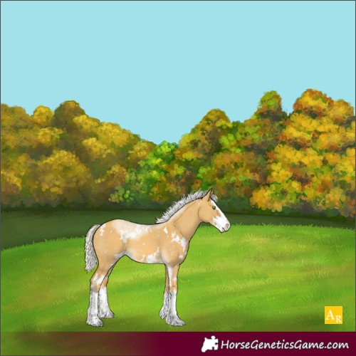 Horse Color:White Spotted Silver Sable Cream Champagne Dun Splash