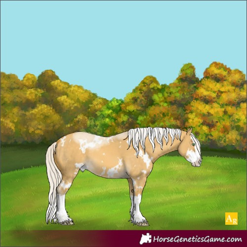 Horse Color:White Spotted Silver Sable Cream Champagne Dun Splash