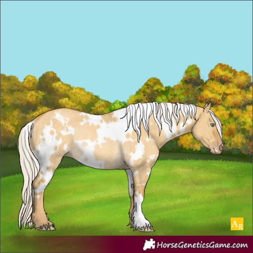 Horse Color:White Spotted Silver Sable Cream Champagne Dun Rabicano