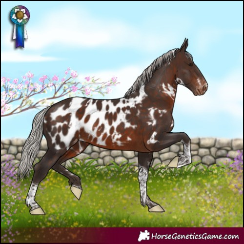 Horse Color:White Spotted Silver Brown Tobiano Appaloosa 