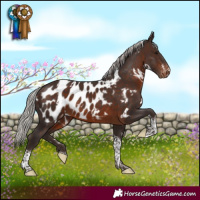Horse Color:White Spotted Silver Brown Tobiano Near Leopard 