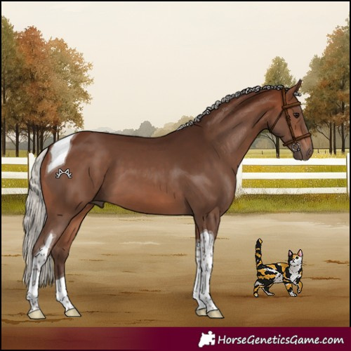 Horse Color:Silver Bay Tobiano