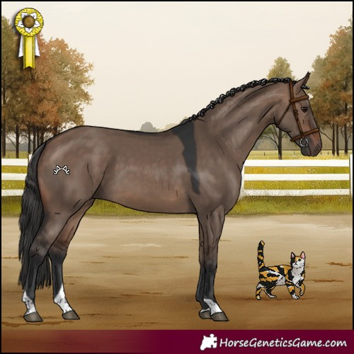 Horse Color:Brown Dun Tobiano Rabicano 