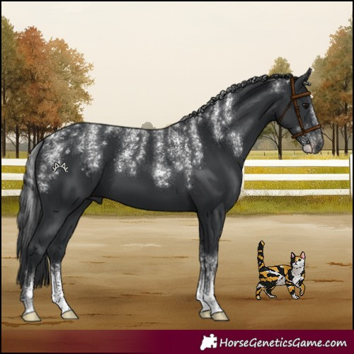 Horse Color:Powder White Black 