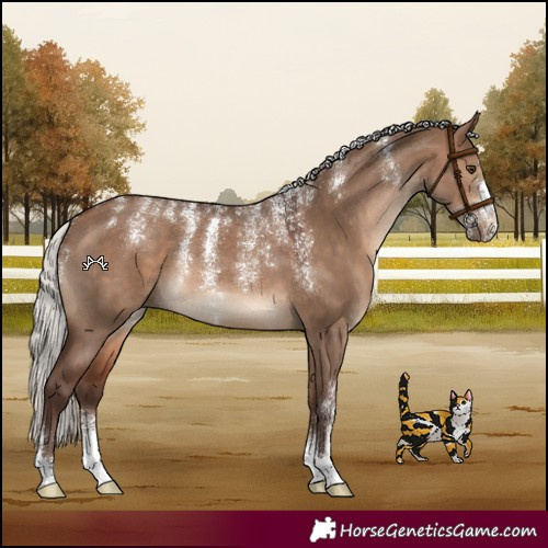 Horse Color:Powder White Silver Brown Dun 