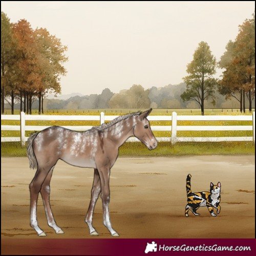 Horse Color:Powder White Liver Red Dun 