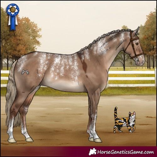 Horse Color:Powder White Liver Red Dun 