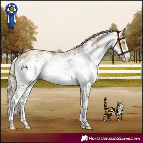 Horse Color:White Spotted Chocolate Palomino Dun 