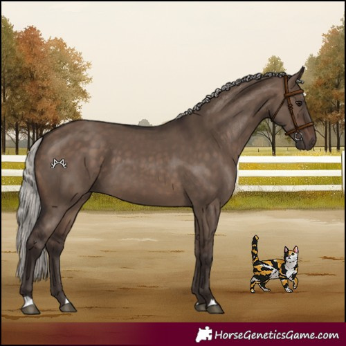Horse Color:Silver Brown Dun