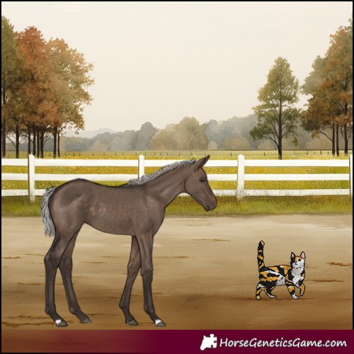 Horse Color:Silver Brown Dun 