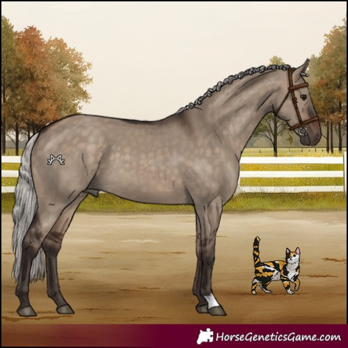 Horse Color:Silver Brown Dun 