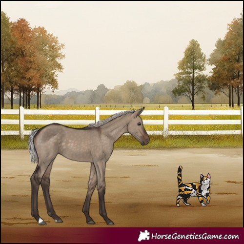 Horse Color:Silver Brown Dun