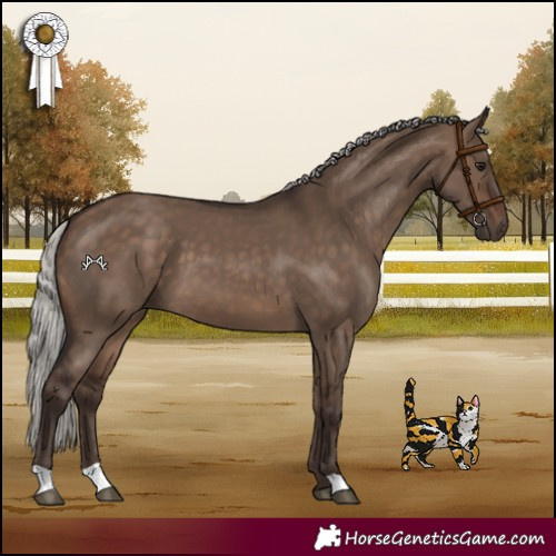 Horse Color:Silver Brown Dun 