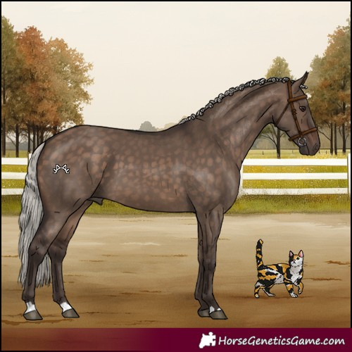 Horse Color:Silver Brown Dun