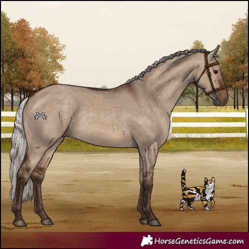 Horse Color:Silver Brown Dun