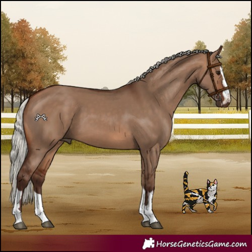 Horse Color:Silver Brown Dun