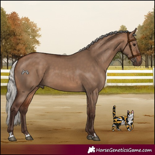 Horse Color:Silver Brown Dun