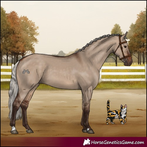 Horse Color:Silver Brown Dun