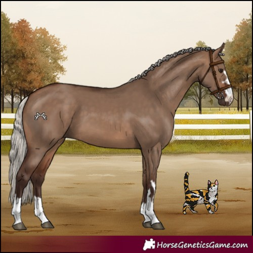 Horse Color:Silver Brown Dun
