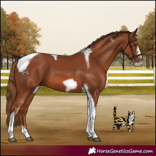 Horse Color:Chestnut Tobiano Frame 