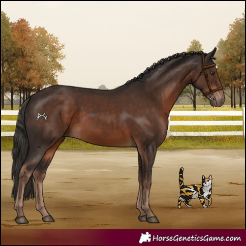 Horse Color:Liver Chestnut 