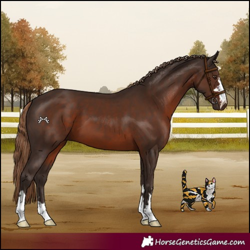 Horse Color:Liver Chestnut 