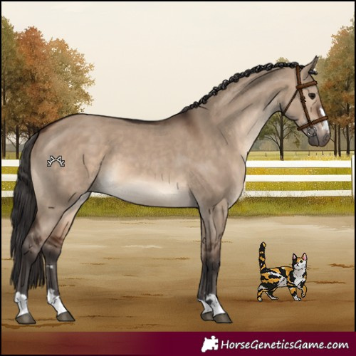Horse Color:Brown Dun
